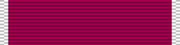 Medal_of_Honor_ribbon.svg.png