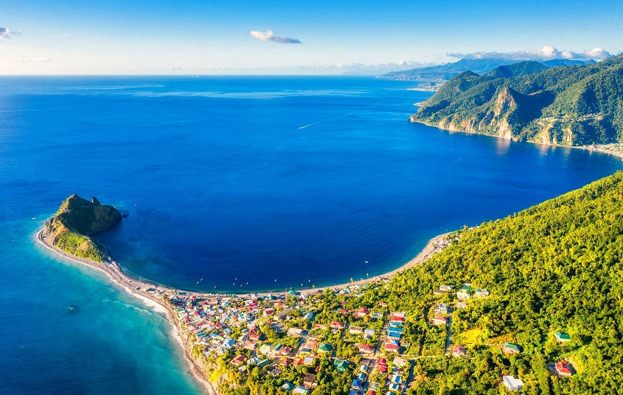 Dominica thành lập khu bảo tồn cá nhà táng đầu tiên trên thế giới