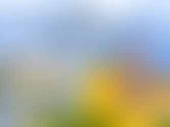 Bồ Đào Nha có bao nhiêu di sản thế giới được UNESCO công nhận?