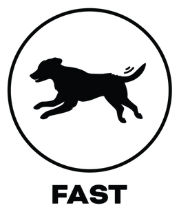 Print Lab Sydney_Values-Fast.png