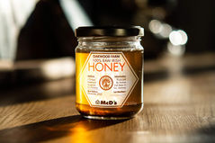 Honey-Jar-Demo-Rear-V8.jpg
