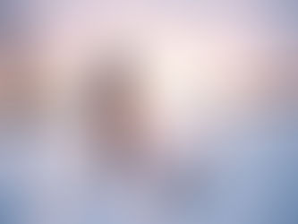 Stay Warm and Stylish with the ORORO Men's Lightweight Heated Vest Review