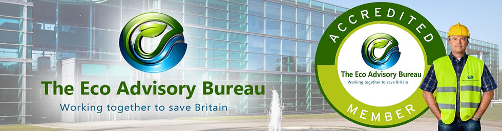 Eco Advice External Wall Insulation