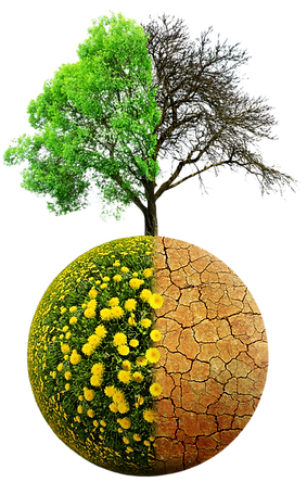 the fight against climate change_edited.png