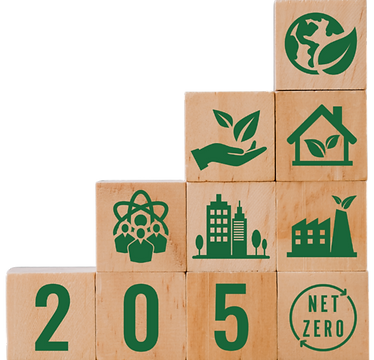Net Zero 2050_edited.png