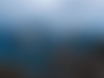 EY, 2024 yılının en önemli 10 jeopolitik gelişmesini açıkladı