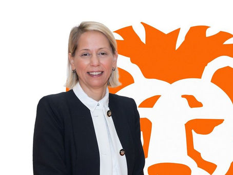 "Fon Getiri Karşılaştır" özelliği ING Mobil'de