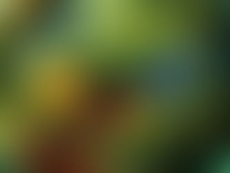 Mastercard 2023 Çevresel, Sosyal ve Yönetişim Raporu’nu yayımladı