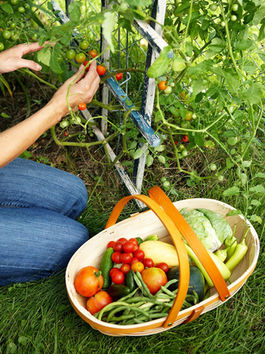 Healthy Lifestyles & Habits!