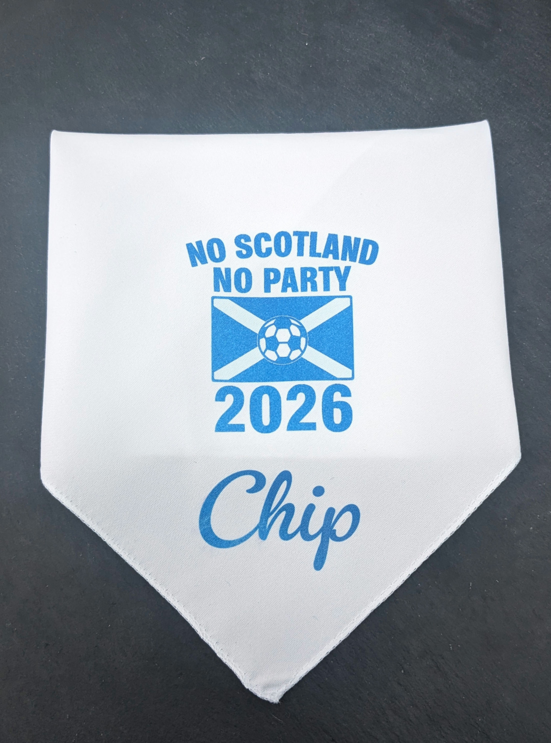 dog, dog bandana, Scotland, No Scotland No Party, personalised, customised