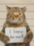 ree