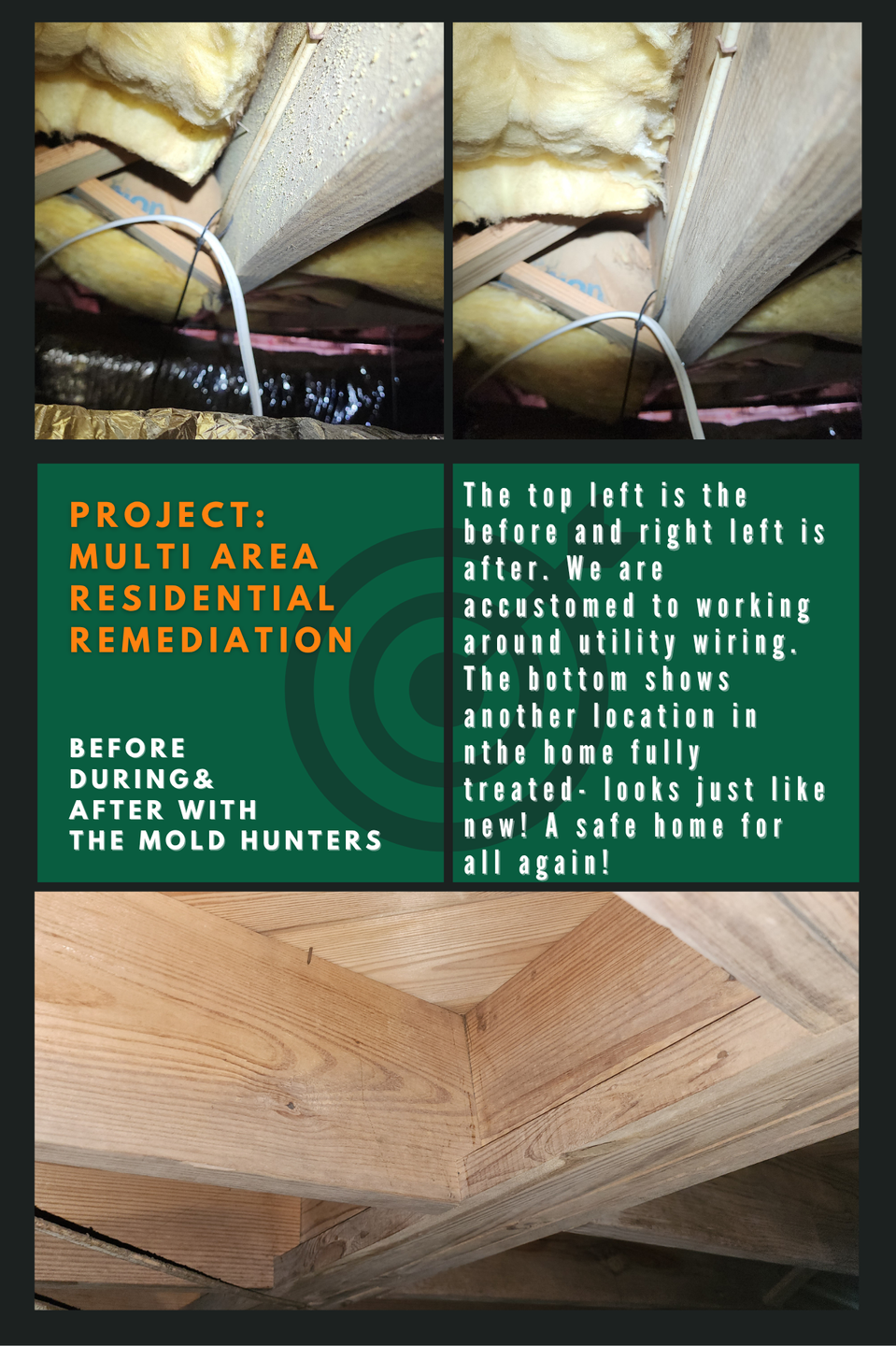 HEPA fast mold remediation Lake Norman NC