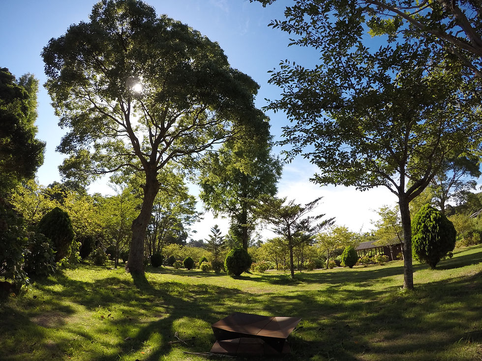 キャンプサイト-1