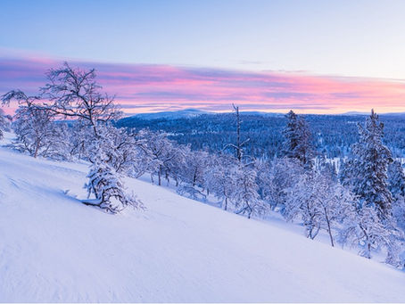 ●これからの時代は、ＳＮＳより「紹介」と「口コミ力」