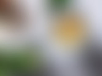 ●いつも集客に追われていませんか?
