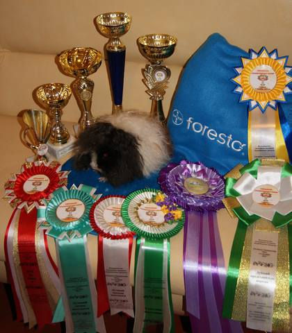 Best in show I Bonneville Витамин