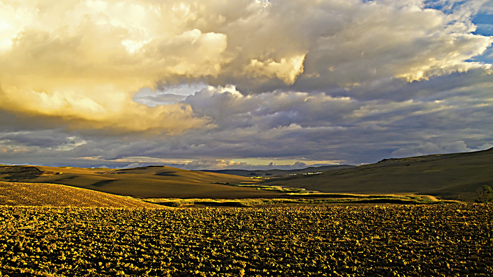 Juan_Quesada._-_Sol_de_otoño..gif