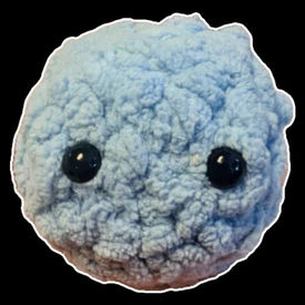 Bob the blueberry crochet at SNHS 