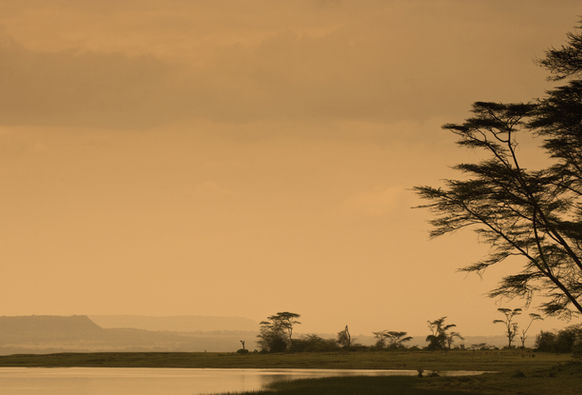 Sunset at Lake Elementeita Great Rift Valley Kenya Africa.jpg