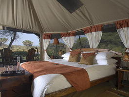 Elephant Bedroom Tent