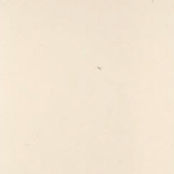 1790842382480.jpg