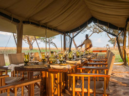Dining - Serengeti Safari Lodge