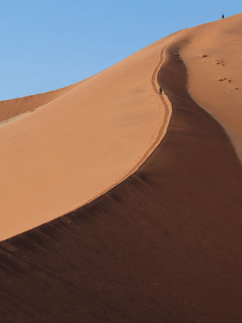 Climb Sossusvlei Sand Dunes