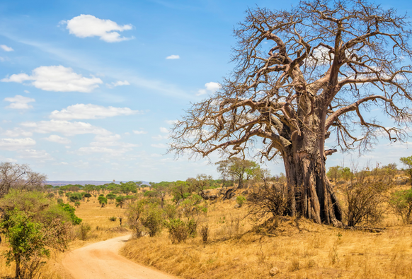 Untitled design-21.png