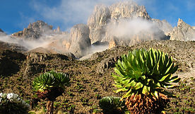 Picture taken in last approach camp - last camp on route to the summit of Mount Kenya - hi