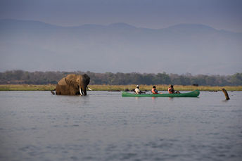 Canoing on the Zambezi River Mana Pools