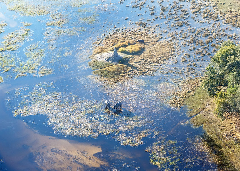 Okavango delta (or Okavango Grassland) is one of the Seven Natural Wonders of Africa (view
