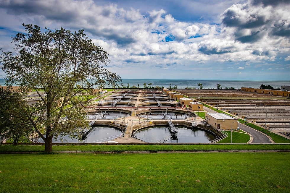South Shore