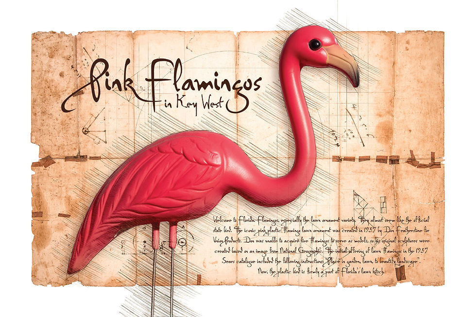 Key West - Pink Flamingos