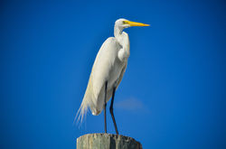 Islamorada, Florida Keys