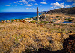 Honolulu power plant
