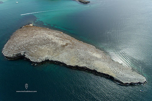 El Mechudo Tours - Isla Gaviota