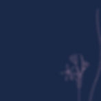 JB_Home_sections_BG-7.jpeg