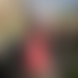 A Winter Fair at Wick Care Farm