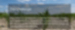 New banner.JPG