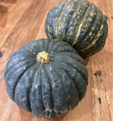 Buttercup squash