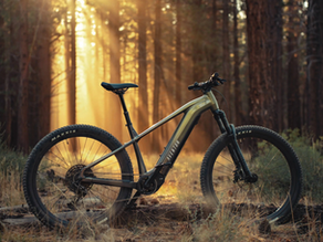 The Future of Mountain Biking: Electric Mountain Bikes (eMTBs)Pros, cons, and how they’re reshaping the sport.