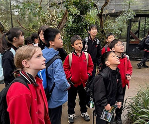 Mullum Primary School Ringwood. International Students.jpg