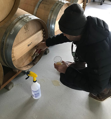 barrel pull.jpeg