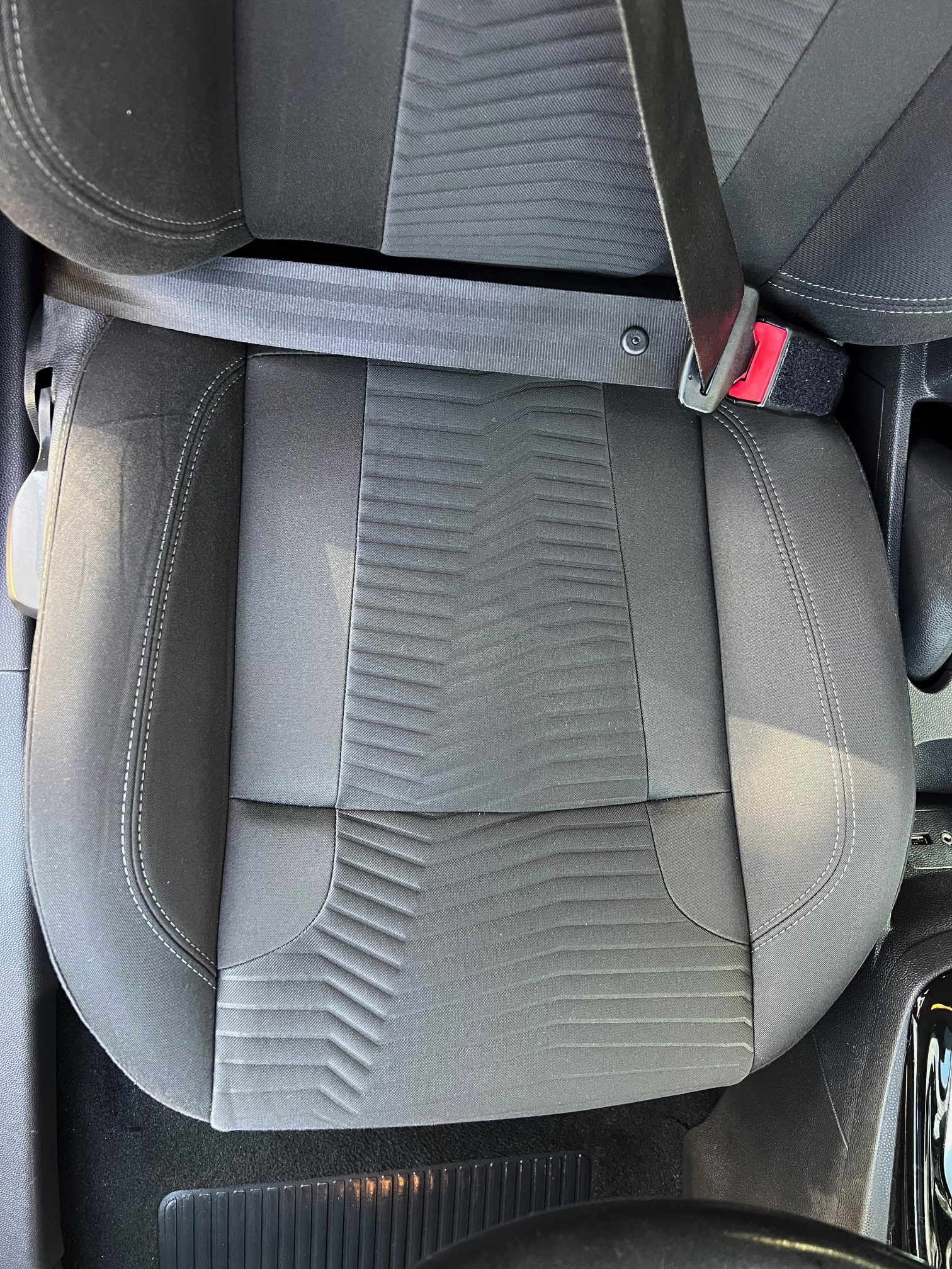 Interior carpet after deep clean — D83 Detailing