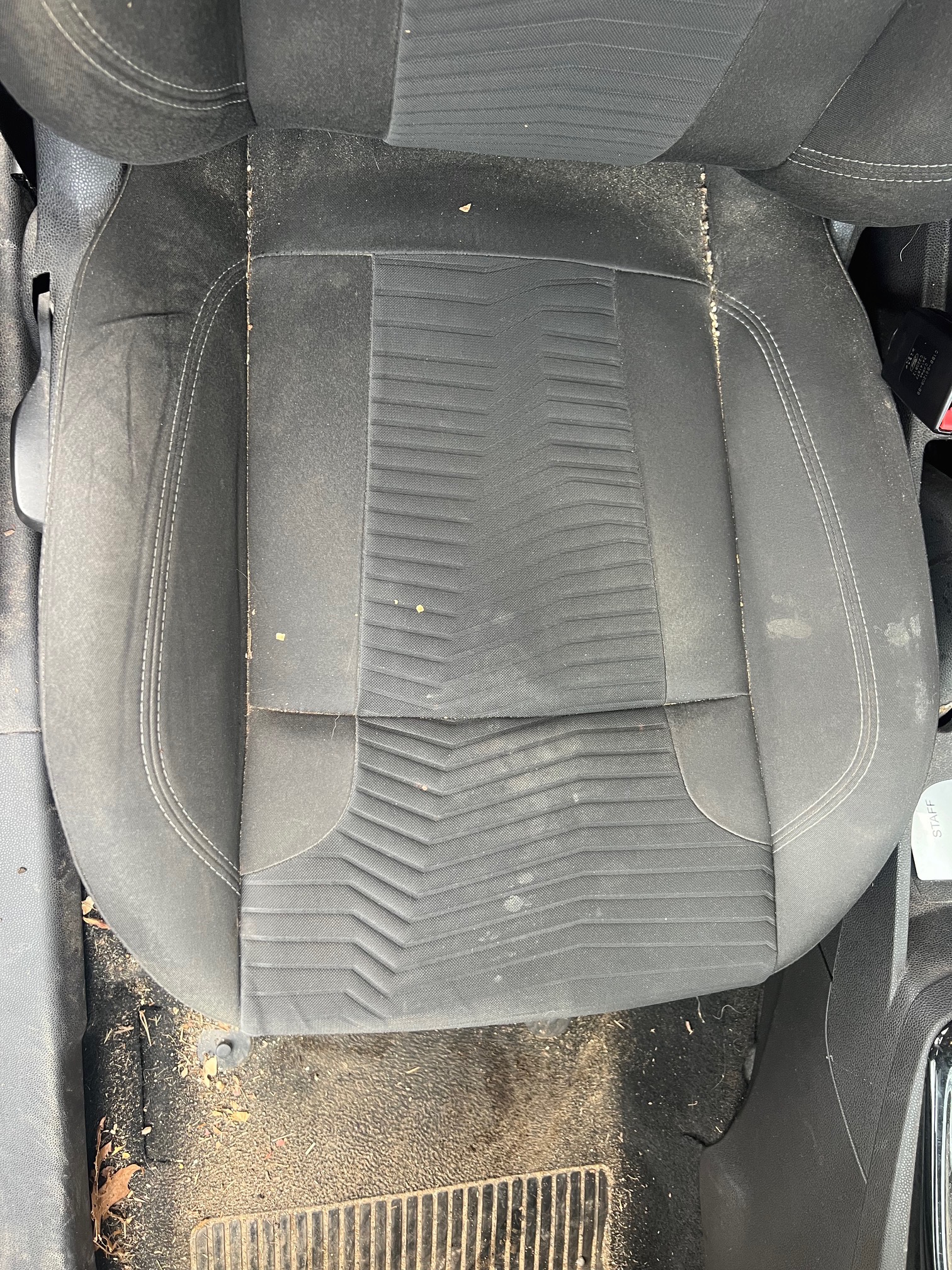 Interior carpet before deep clean — D83 Detailing