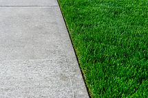 Driveway-Grass-Edging.jpeg