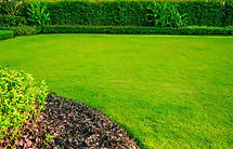 perfect-lawn.jpeg