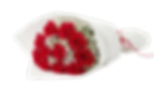 Rose Bouquet (One Dozen)