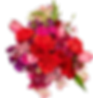 Small Bouquet