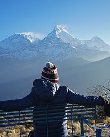 shutterstock_1124199788 (1).jpg